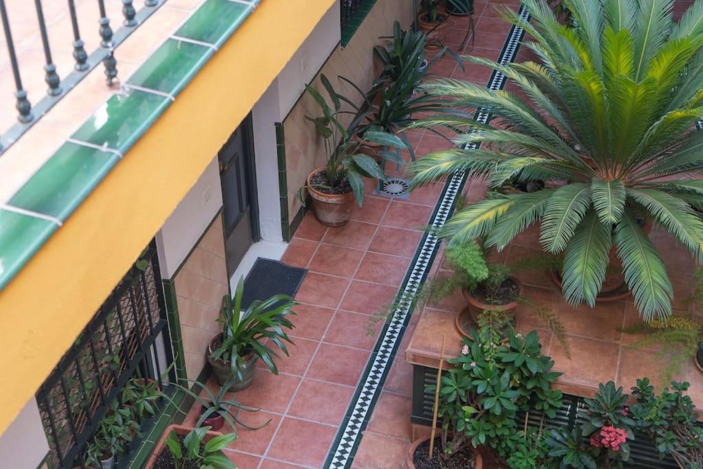 Apartamento Junto A Las Setas De Sevilla Eksteriør billede